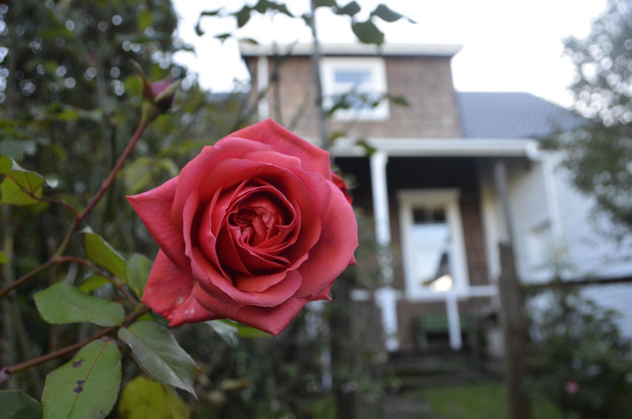 Casa Apel Hostel ปูแอร์โตบารัส ภายนอก รูปภาพ